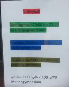 sport-volleyball-volkswald
